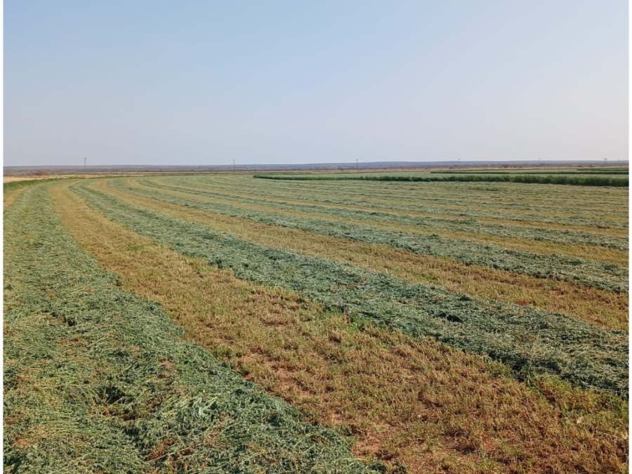 Commercial Property for Sale in Douglas Rural Northern Cape